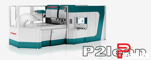 SALVAGNINI P2LEAN-2116 Panel Benders | Pioneer Machine Sales Inc.